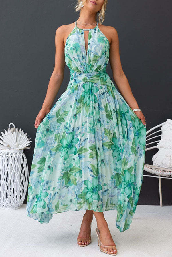 Aloysia - Floral print Maxi Dress